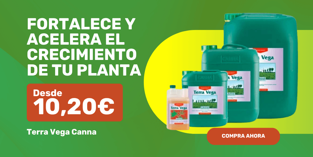 Terra Vega Canna